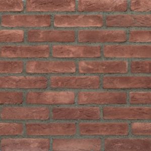 EcoBrickRed